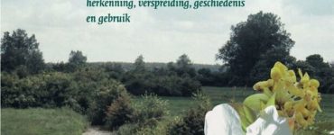 Inheemse bomen en struiken in Nederland en Vlaanderen - Bert Maes